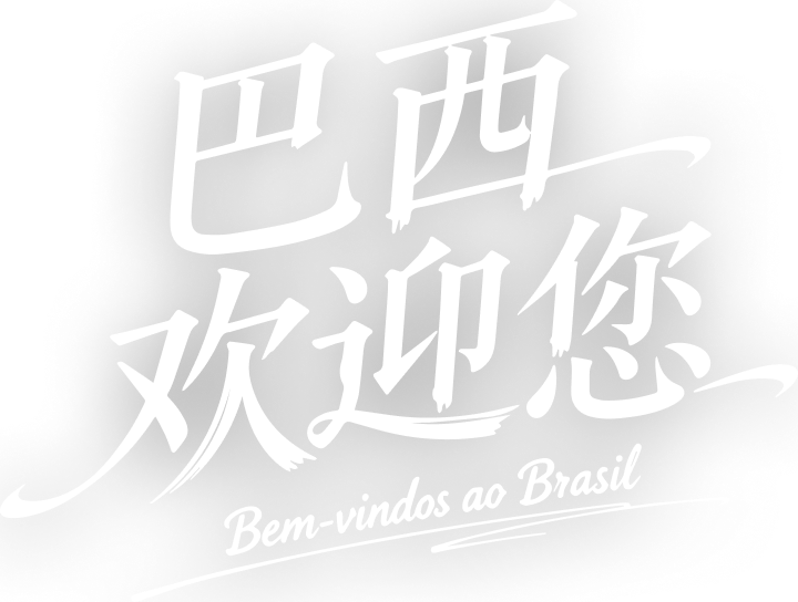 巴西欢迎您